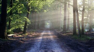 Jak dosáhnout zářivé a zdravé pleti přírodní cestou